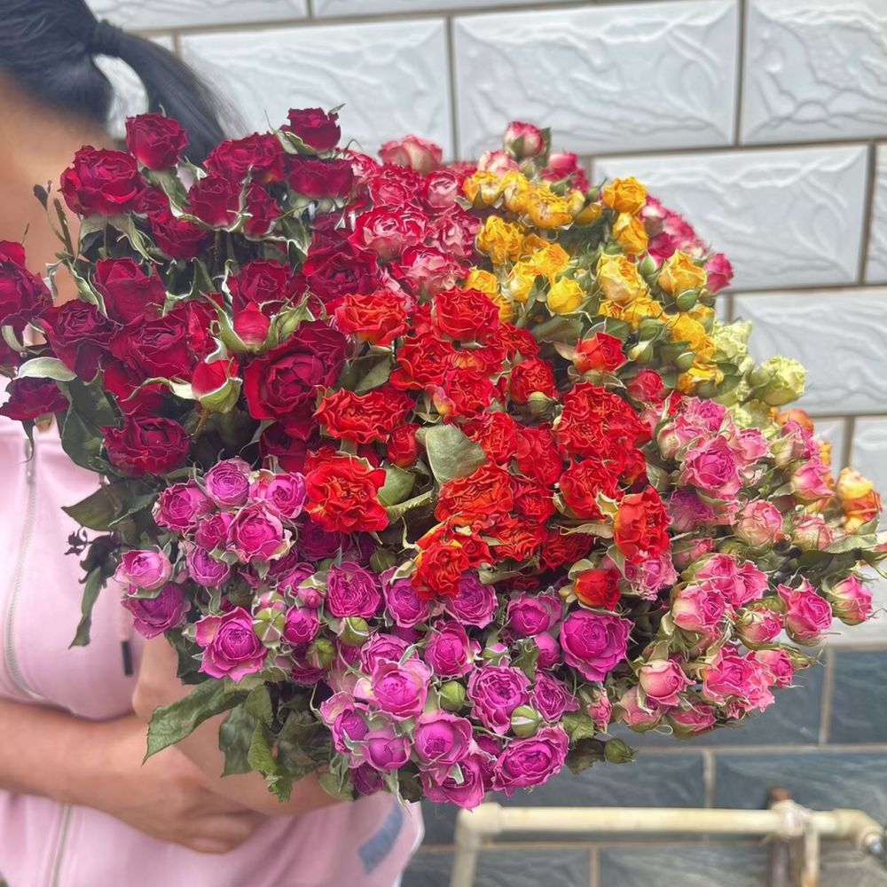 Bunga Mawar Kering Alami, Rang - Resin Art Rose ulasan dan harga