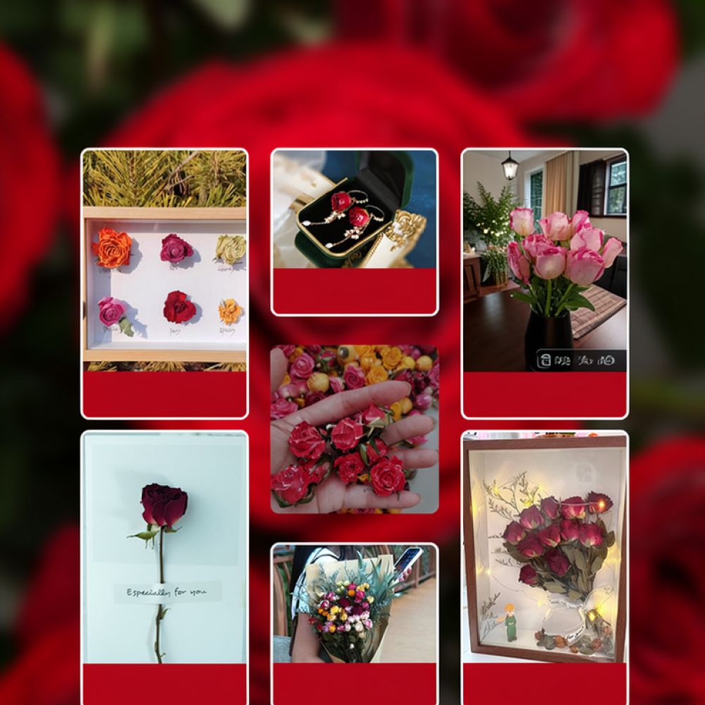 Buket Bunga Mawar Kering Alami - Resin Art Rose ulasan dan harga